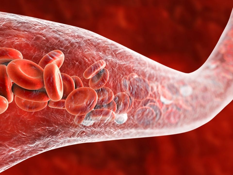 В крови человека впервые обнаружили микропластик