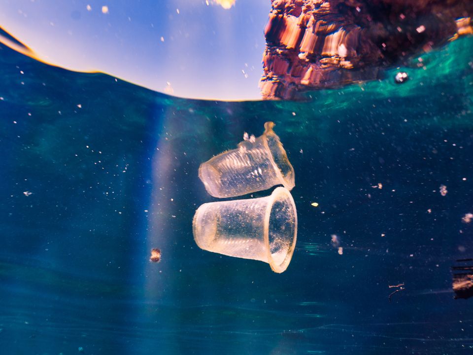 В Баренцевом море формируется новое мусорное пятно