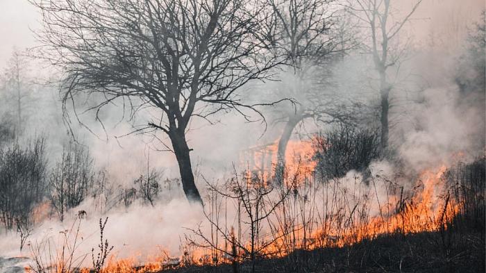  На территории Якутии введен режим ЧС из-за лесных пожаров